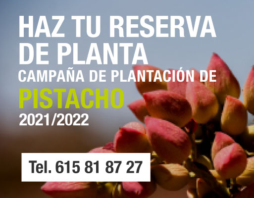 Reserva pistacho Esla 2021-22
